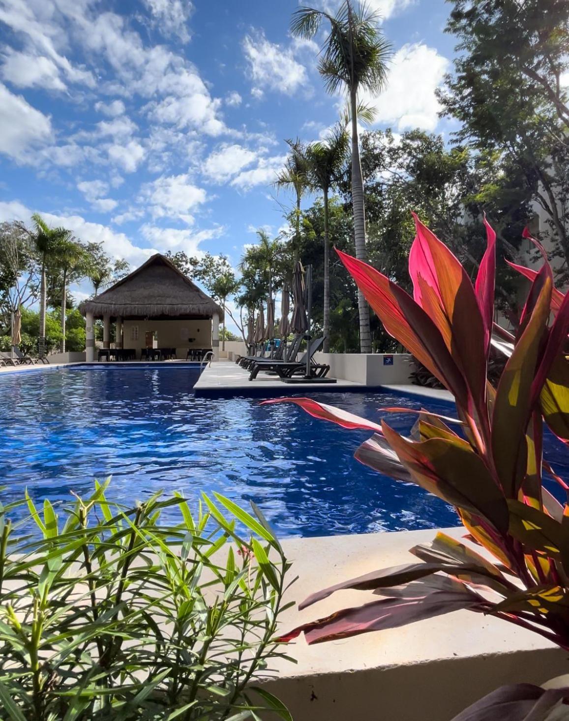 Apartamento Depa En Playa 7min Mar Y 5ta Av *